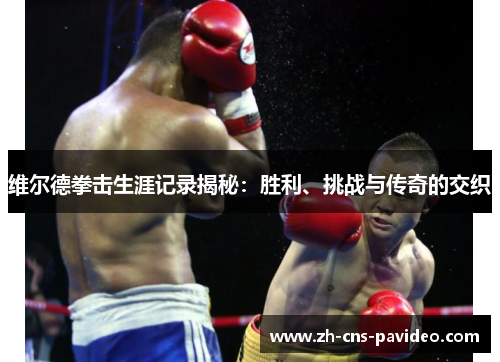 维尔德拳击生涯记录揭秘：胜利、挑战与传奇的交织